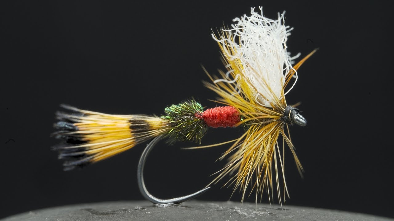 Brook TROUT Love THIS Fly!