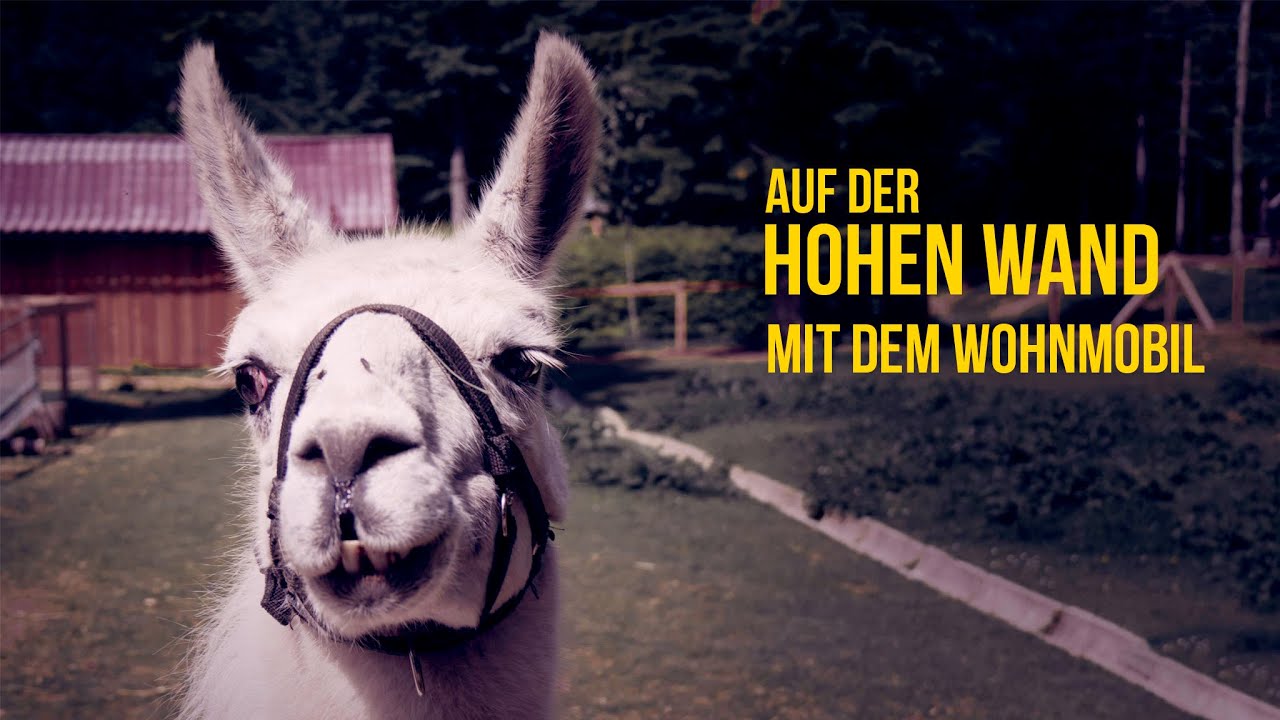 Die HOHE WAND mit dem WOHNMOBIL | STELLPLATZ | SKYWALK | Naturpark | Streichelzoo | Wandern | Lamas