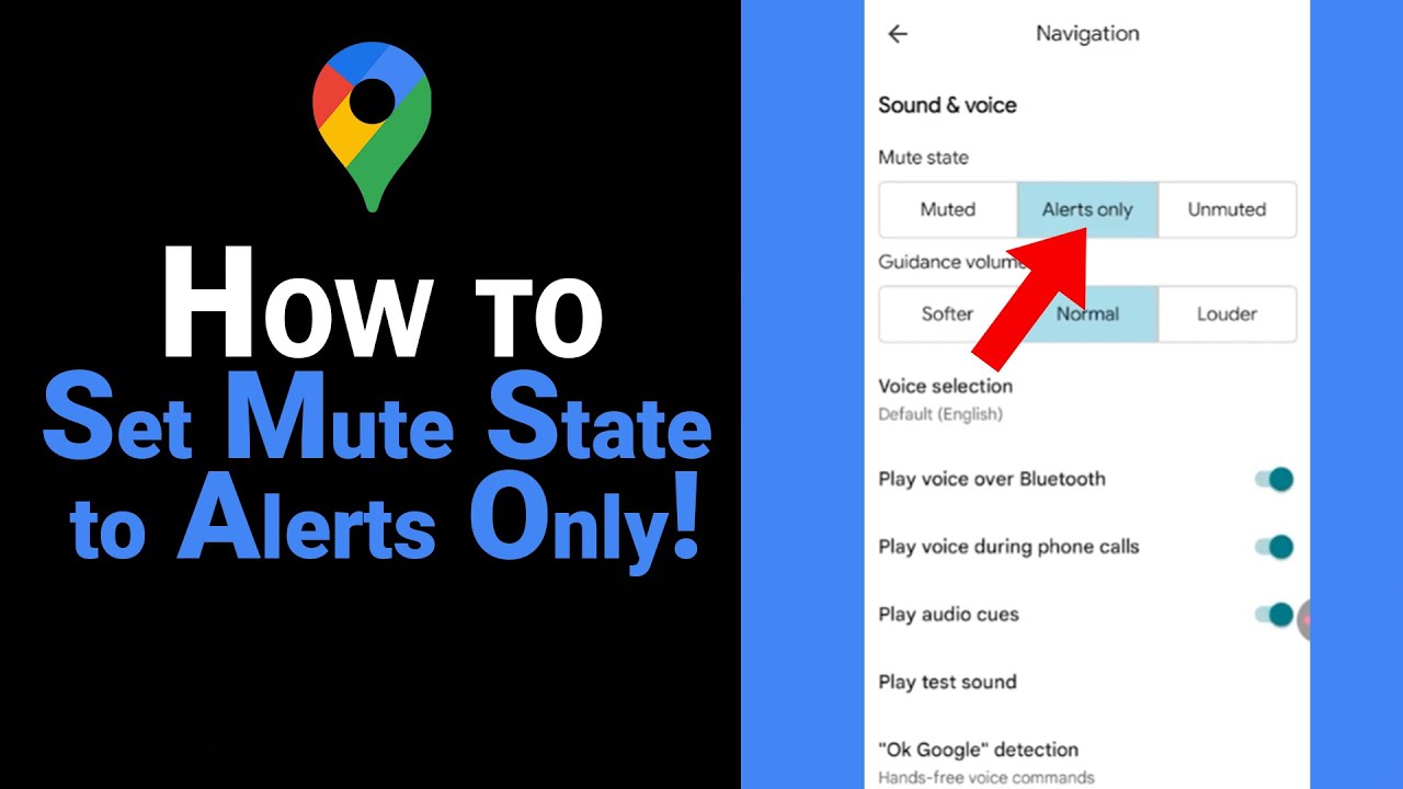 How to Set Mute State to Alerts Only  on Google Map [NEW]