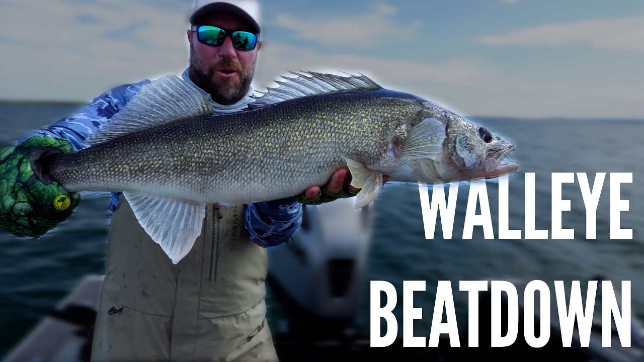 Fort Peck MONSTERS – Denis Isbister’s Walleye Beatdown (EndurX Braid Test)