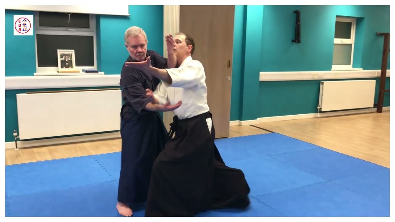 Aikido : side strike (yokomen)