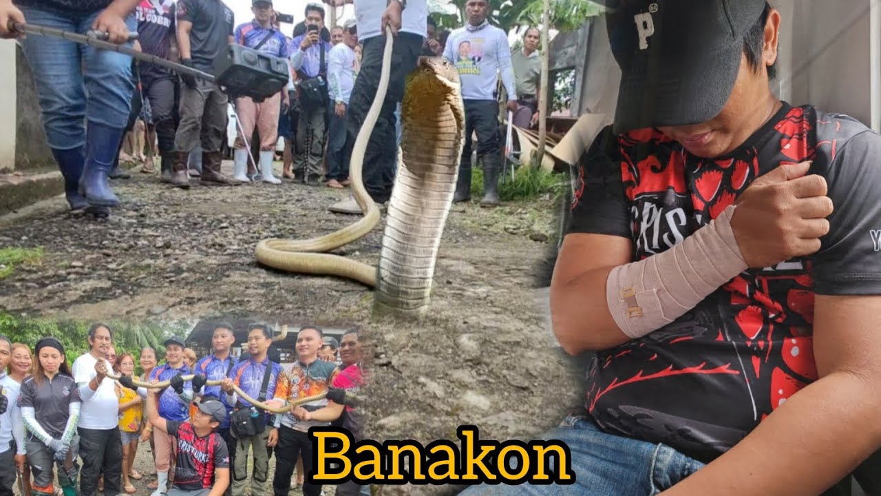 KING COBRA ANG NADATNAN NG BUONG TEAM NAG KA GULO SA LAKI #cobraprince