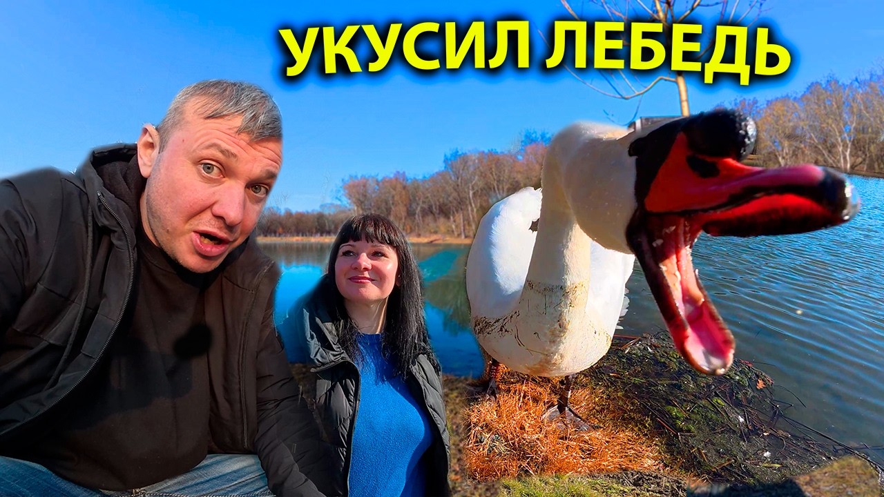 ОЗЕРО ДЛЯ СВОИХ? ФОРЕЛЬ КЛЮЁТ ЗА 20$?