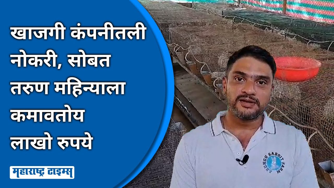 Sase Palan Story : BE शिक्षण, खाजगी कंपनीत नोकरी; बिझनेस खुळ डोक्यात, ससा पालन व्यवसाय 'सक्सेसफुल'!
