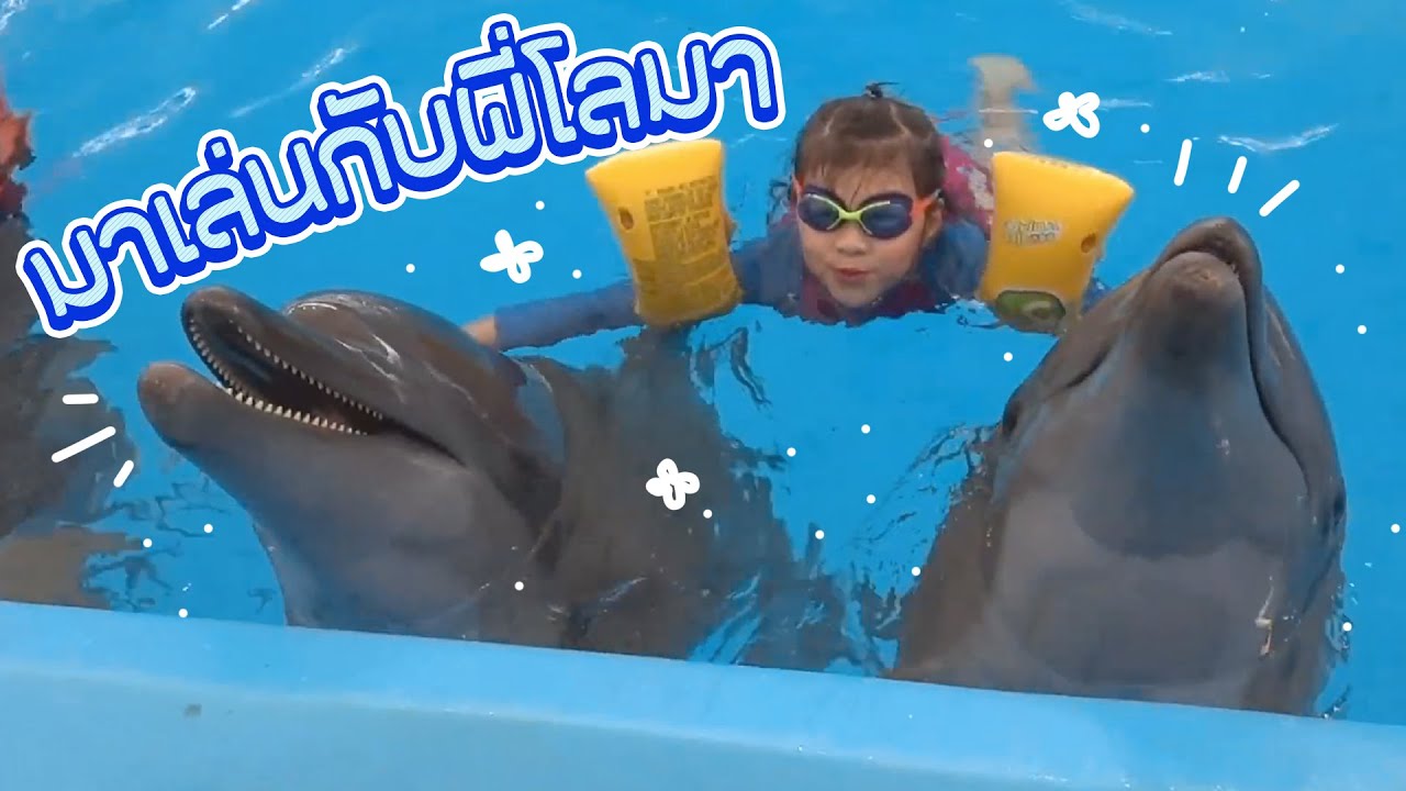 พาลูกมาเล่นกับโลมา! จนตอนนี้ลูกไม่อยากกลับบ้านแล้วครับ