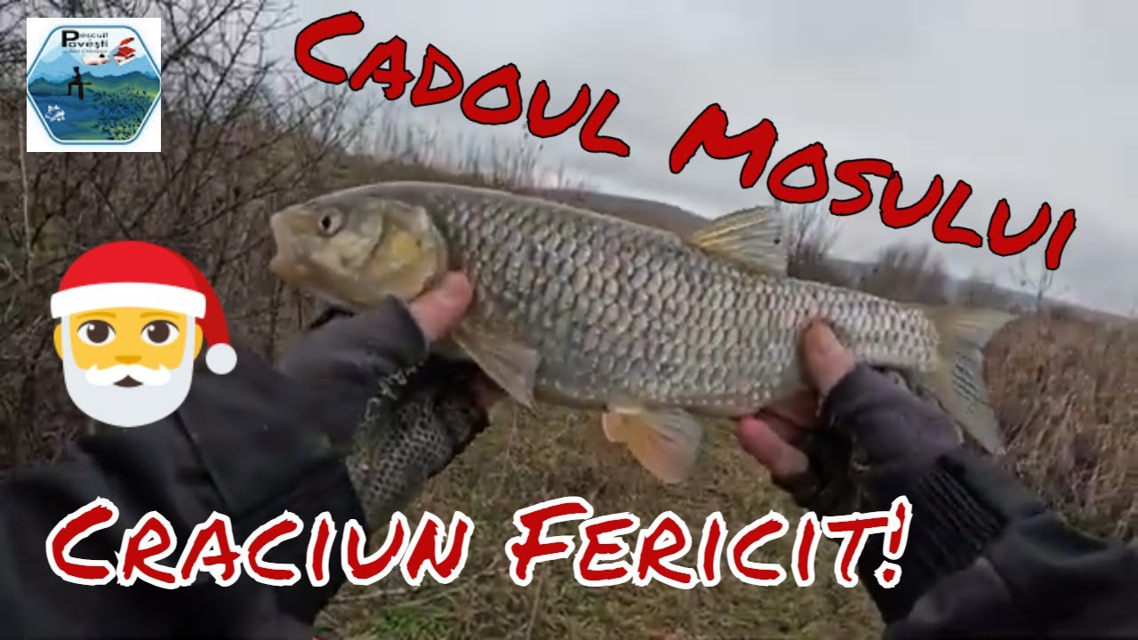Счастливого Рождества! Привет из офиса Санты! Счастливых праздников!