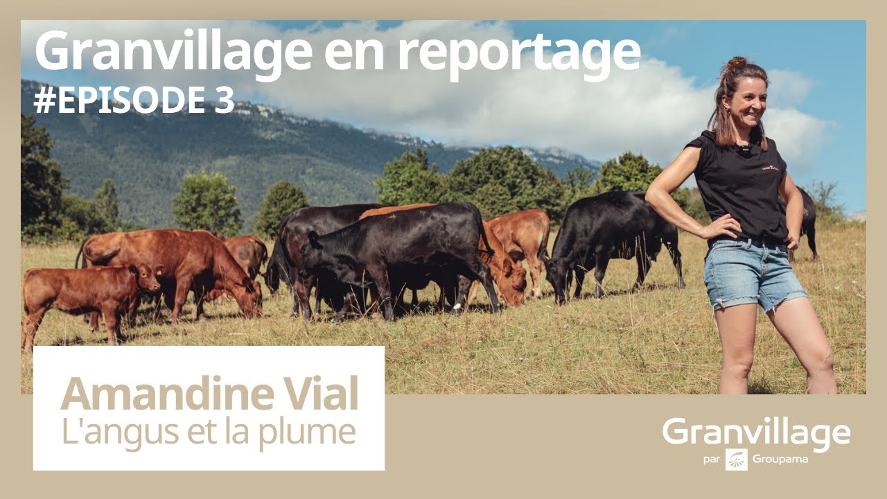 Granvillage en reportage - Amandine, éleveuse chez l'Angus et la plume