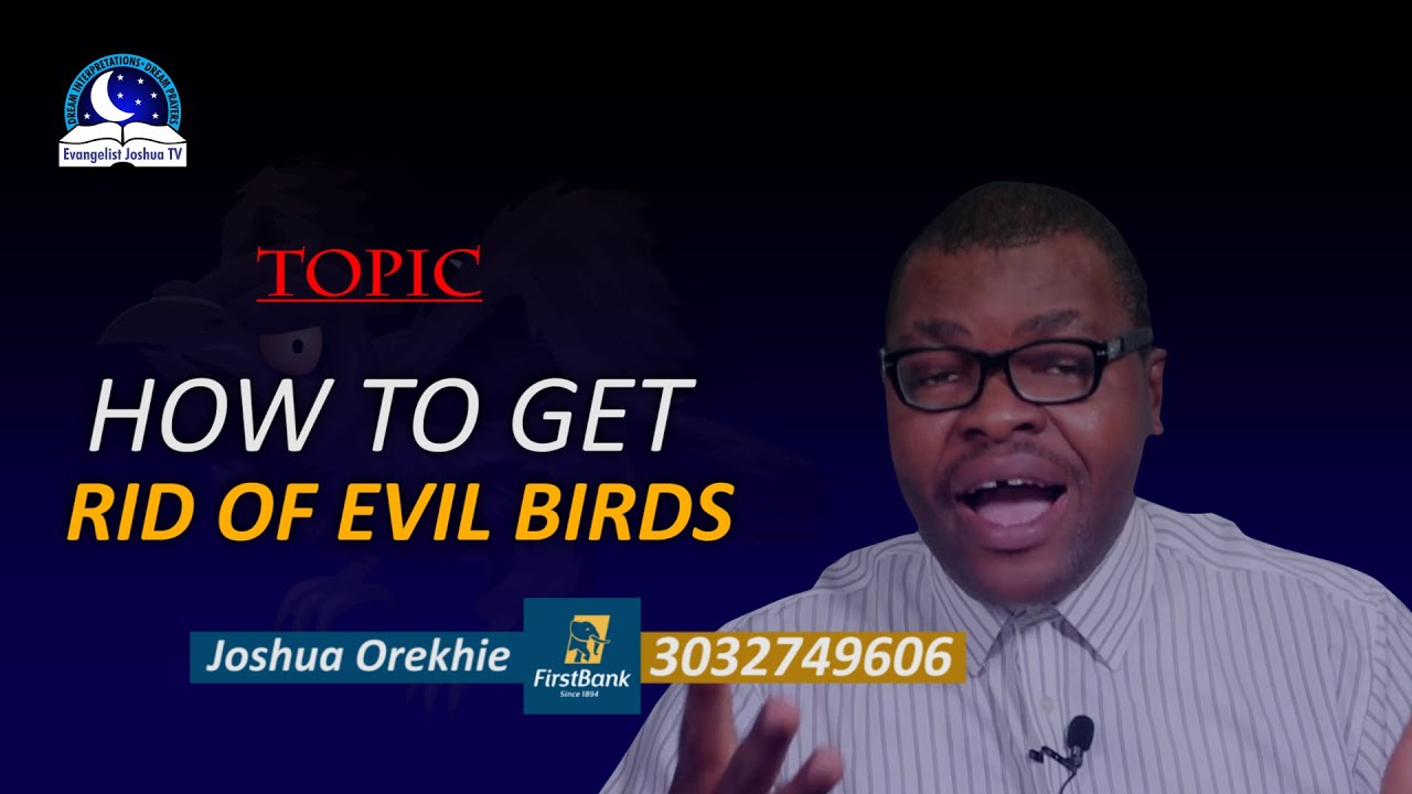 How To Get Rid of Mysterious Birds - How To Keep Demonic Birds Away From Your House