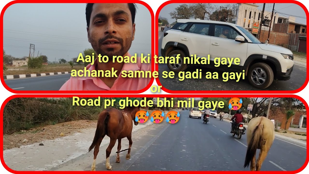 #aaj to road ki taraf nikal gaye | achanak samne se gadi aa gayi |or road pr ghode bhi mil gaye | 🥵🥵