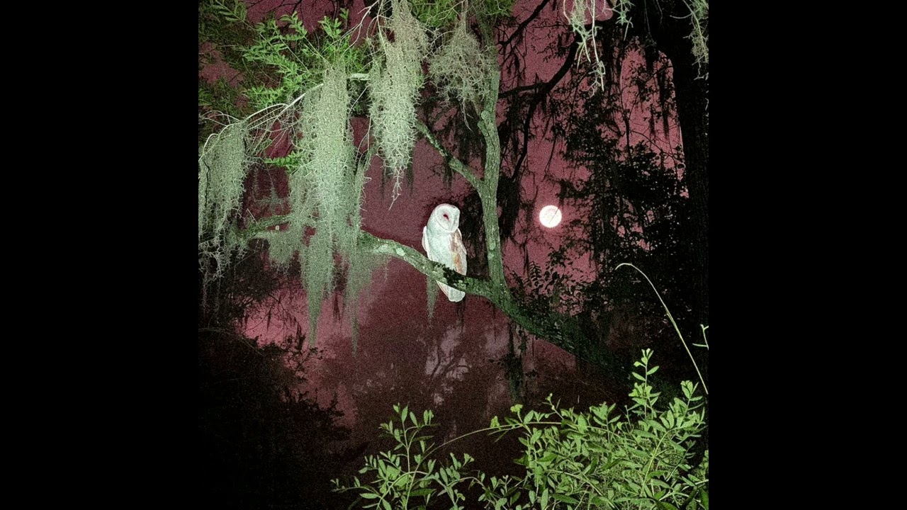 (FREE) experimental lucy bedroque type beat NOW