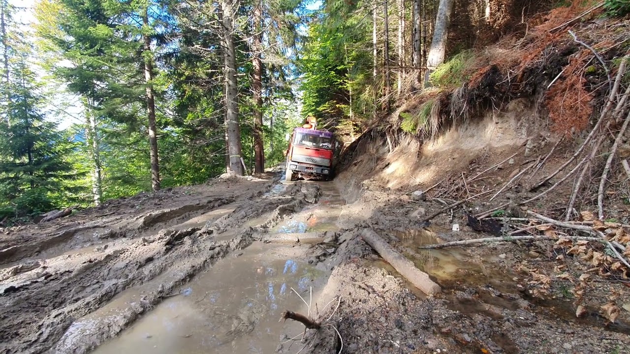 Iveco Magirus 4x4 17-340 in the mud holztransporte