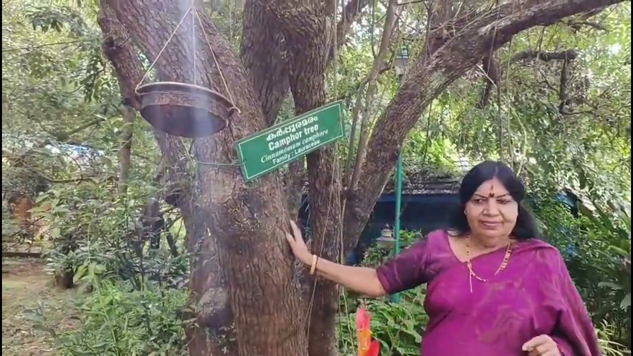 Neramillatha nerathu - light music 
