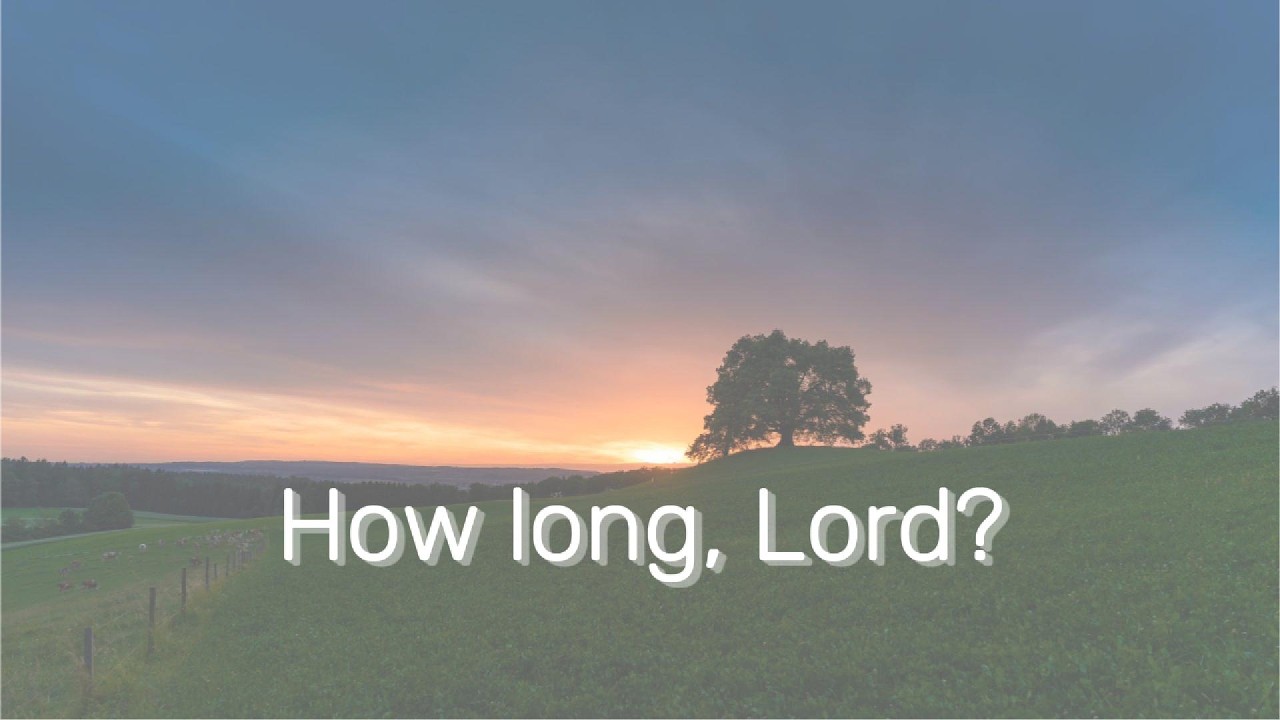 How Long, Lord? | Trusting God in Grief (Psalm 13)