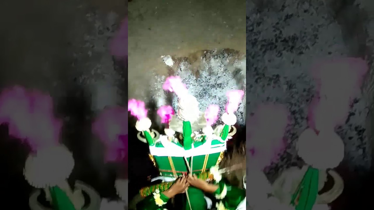 Telang kehdi (Bgga Bawa) sawari in mohram nagpur 2k16