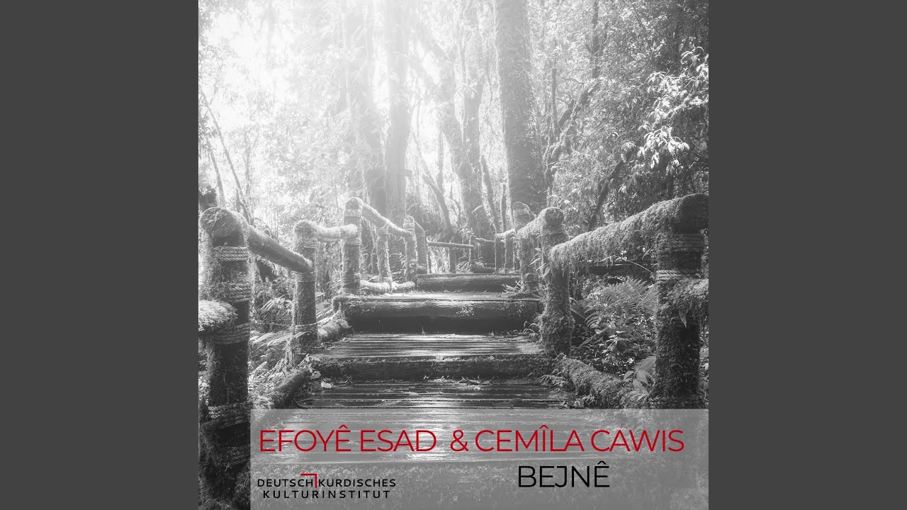 Bejn&ecirc;