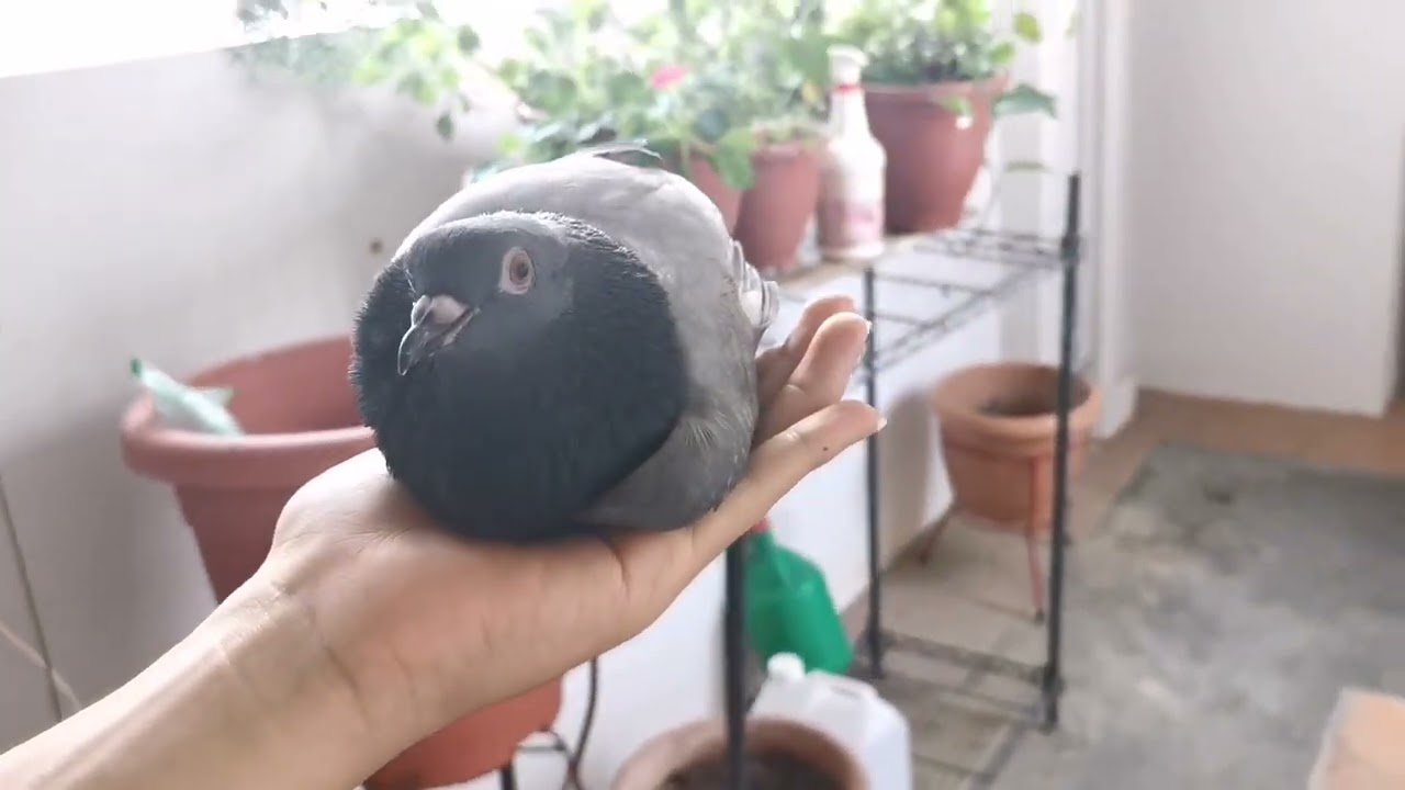 Sitting on my hand