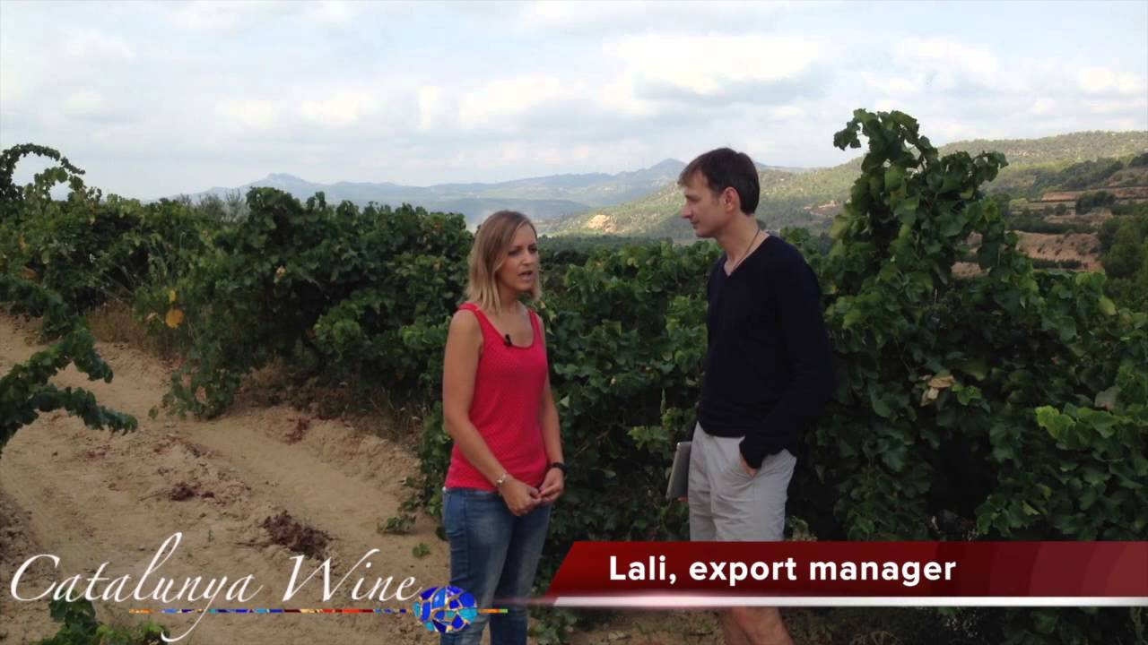 Get to know Celler Masroig in 2:45