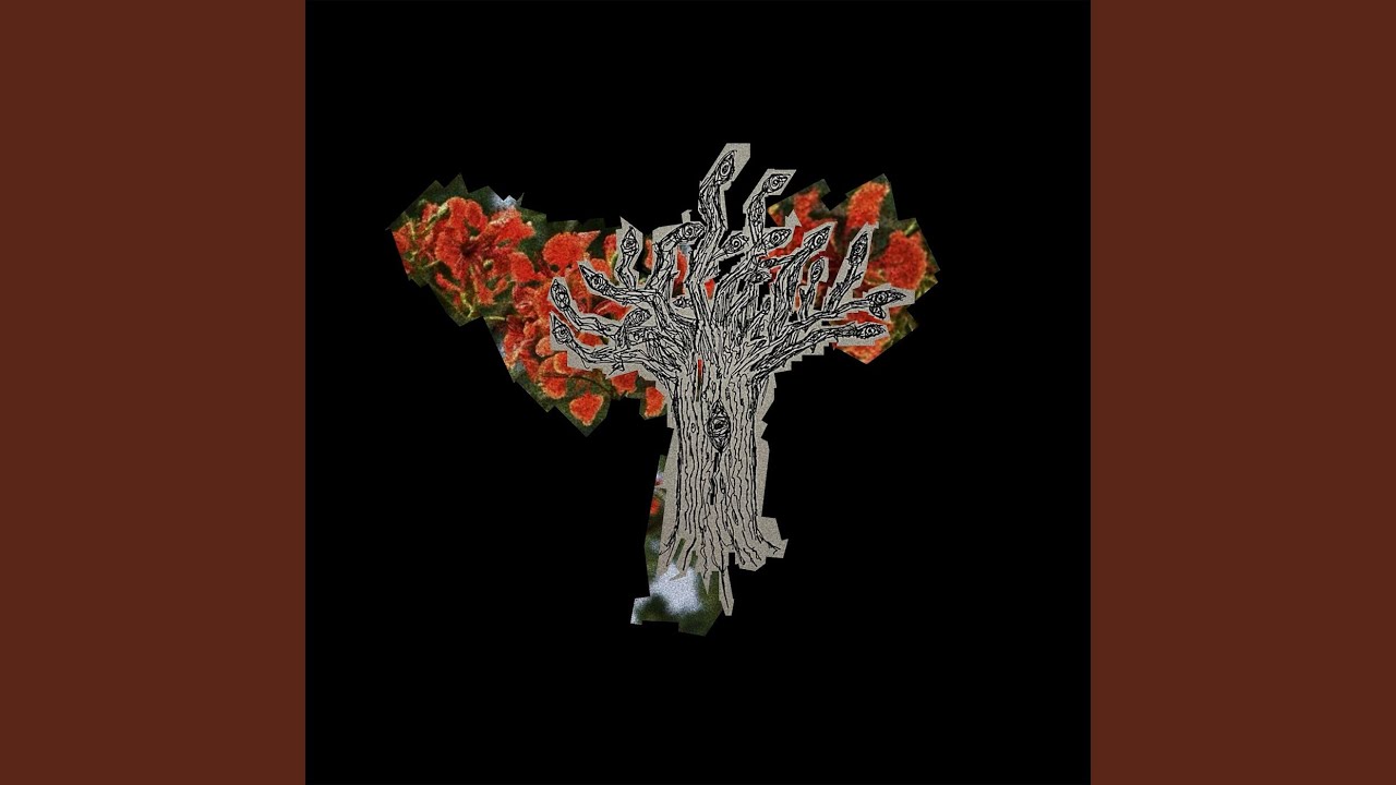 Orange Trees