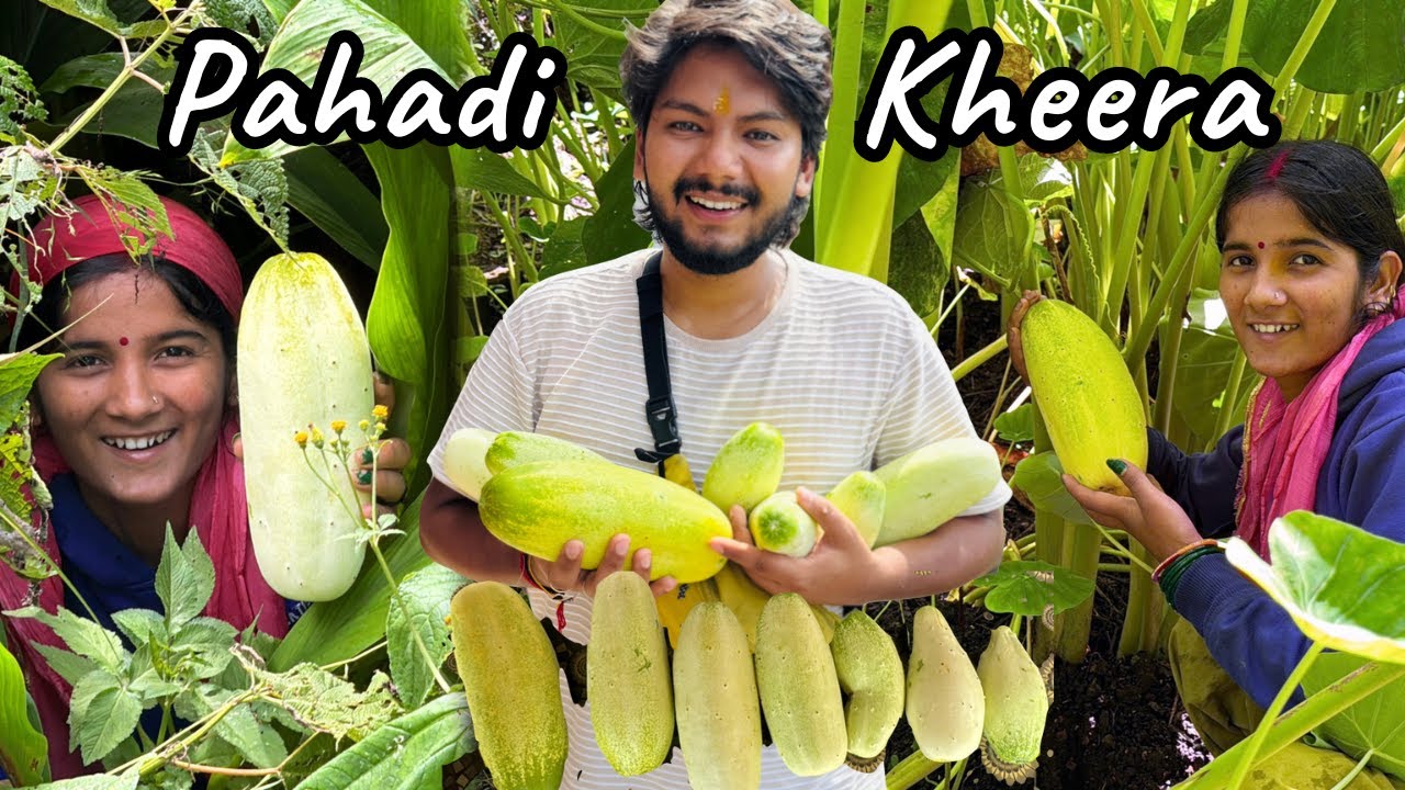 Bhabhi ने ढेर सारी पहाड़ी ककड़ी दी 😍 Pahadi Uttarakhand Food | Suyash Aswal