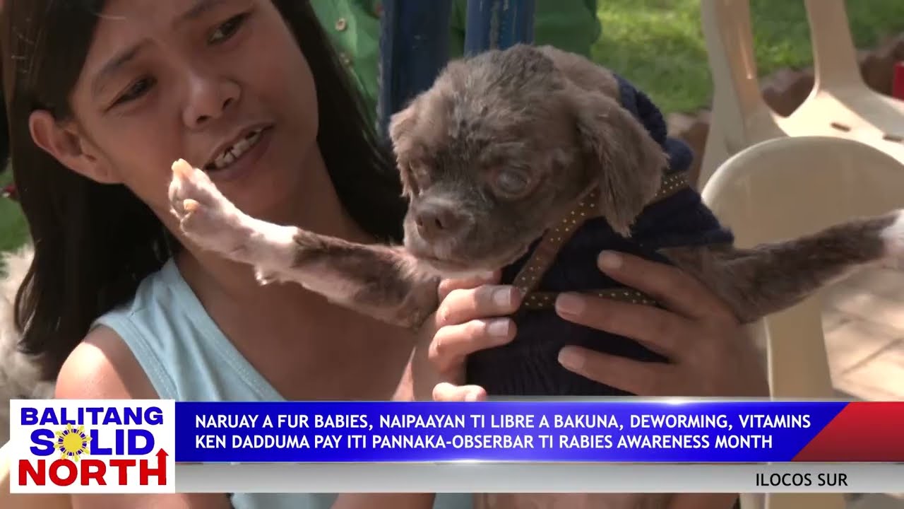 Balitang Solid North: Rabies Awareness Month iti Ilocos Sur