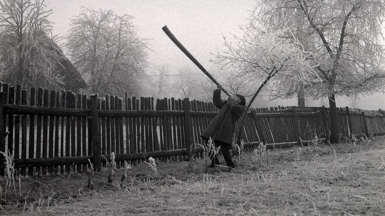 Ligawka - udźwiękowiony film archiwalny z tłumaczeniem PJM