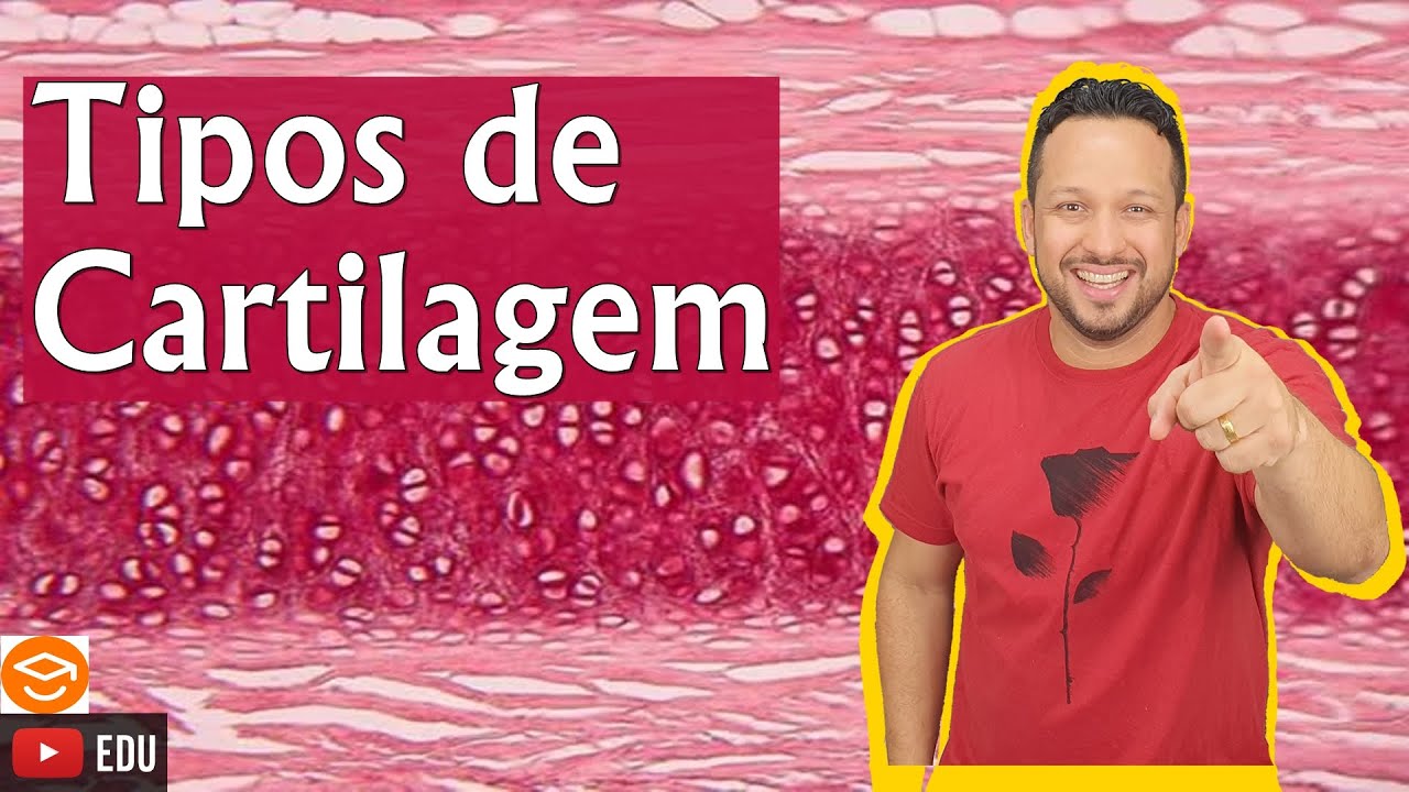 Tipos de Cartilagem - Classificação do Tecido Cartilaginoso - Histologia Animal
