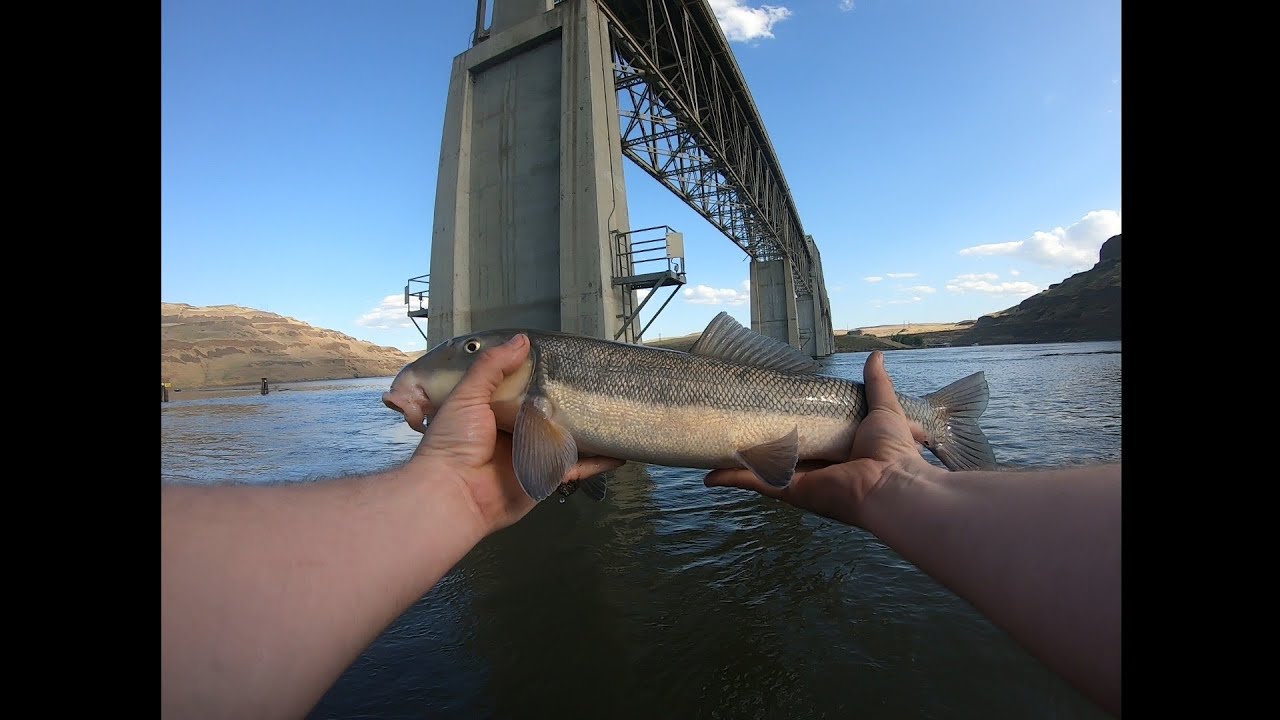 Fishing Lyons Ferry On The Snake River Washington #fishing #river #nature