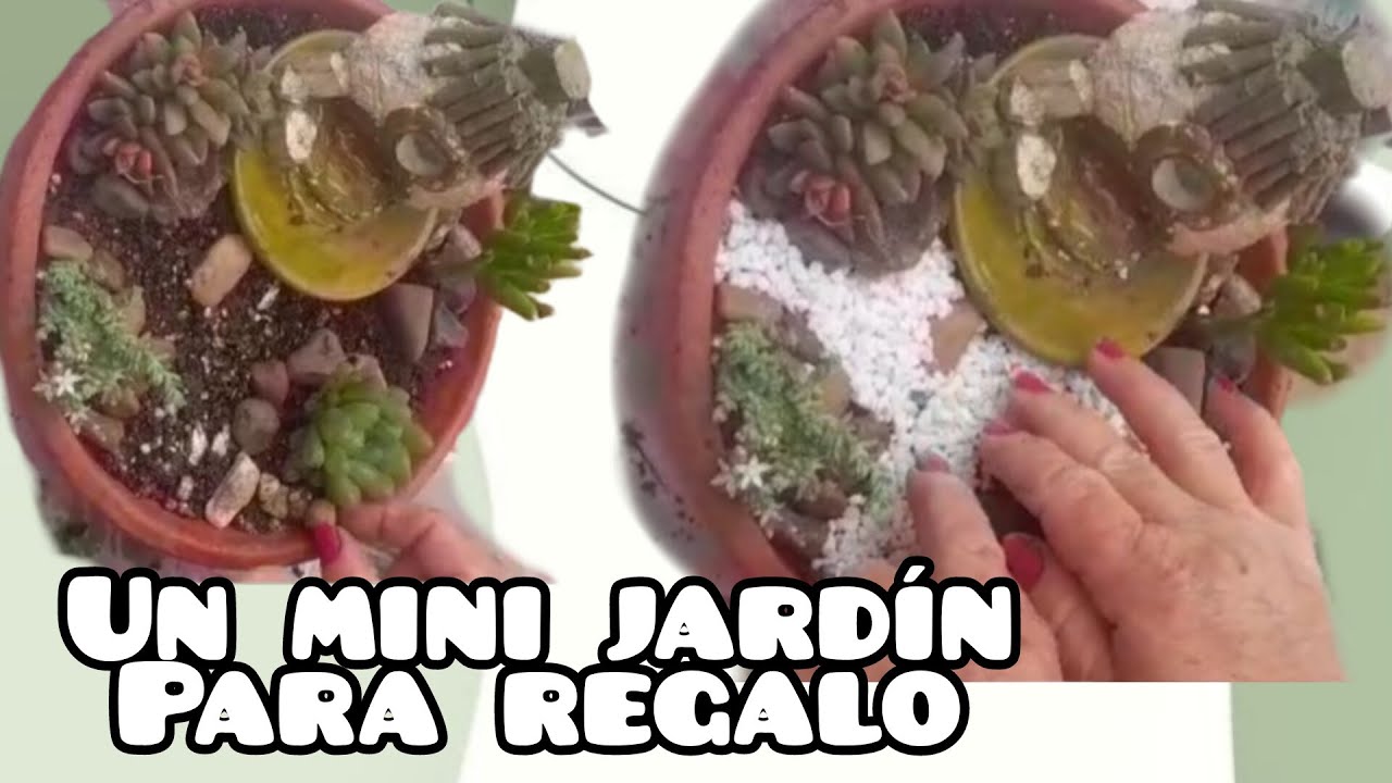 UN MINI JARDIN PARA REGALO
