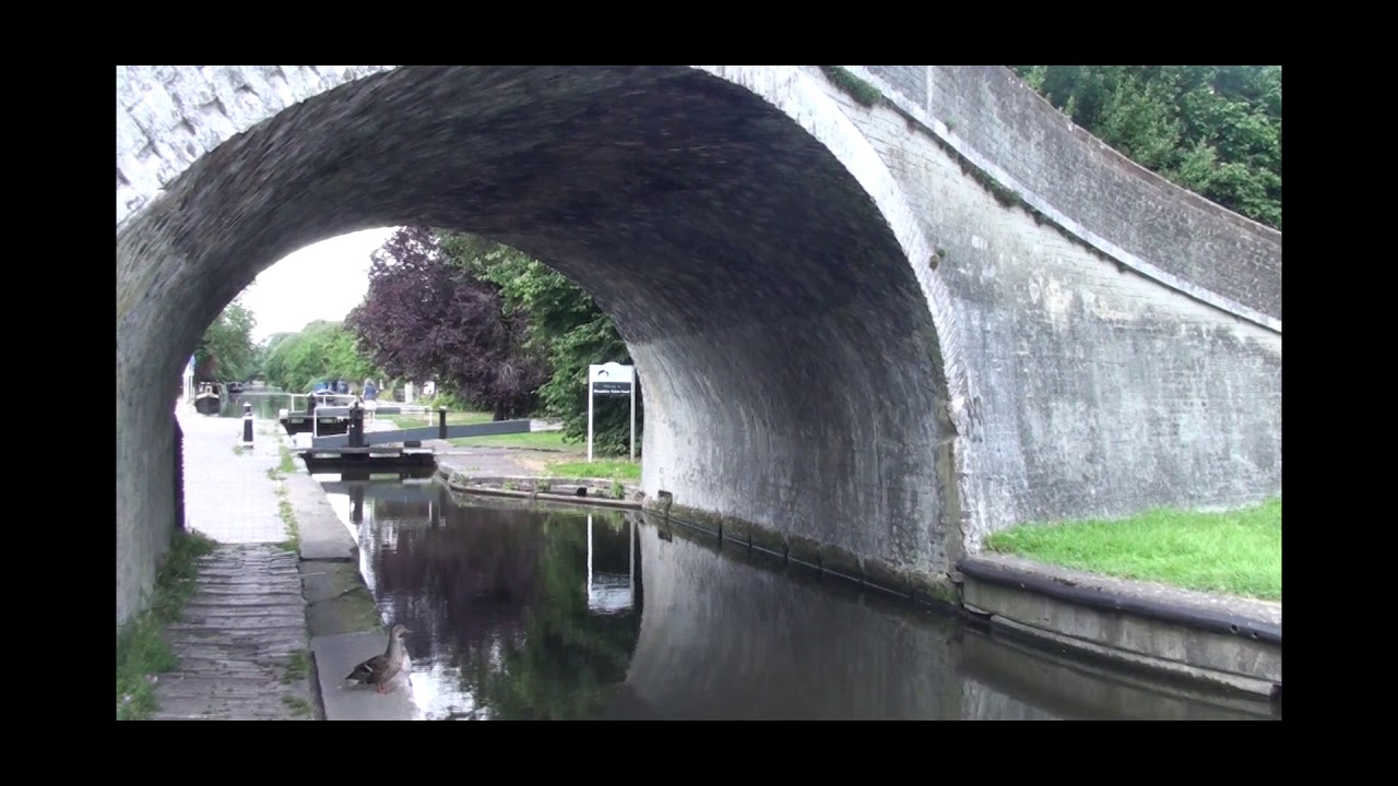 The Shroppie - Cut end is the beginning