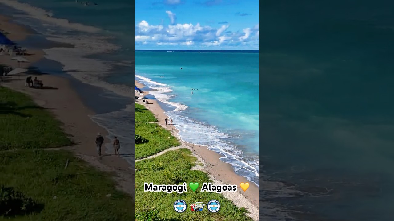 Maragogi: El Caribe Brasile&ntilde;o que ten&eacute;s que conocer🏝️un destino imperdible en Brasil☀️