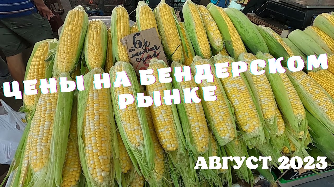 ЦЕНЫ НА БАЗАРЕ В БЕНДЕРАХ/АВГУСТ 2023/ Цены в Приднестровье, овощи, фрукты, мясные полуфабрикаты