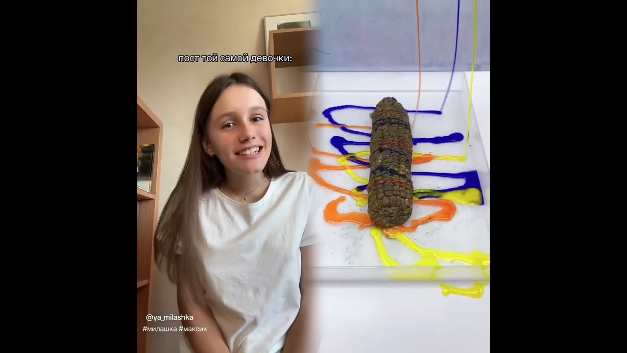🤣👌👌👌2026 pov Must-Watch Crazy Clips Compilation #humor #fypシ #pov #fyp #foryou #funny 😍😜
