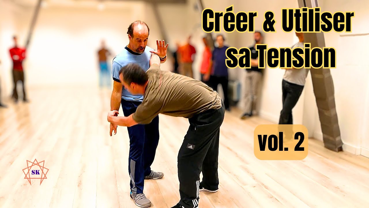 Systema : Maîtriser l’Adversaire par sa Tension – Vol. 2