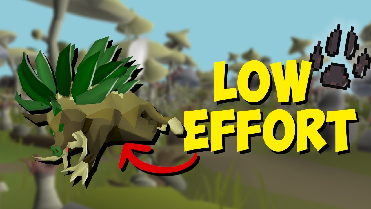 The LOWEST effort way to train Hunter (Herbiboar Quick Guide)