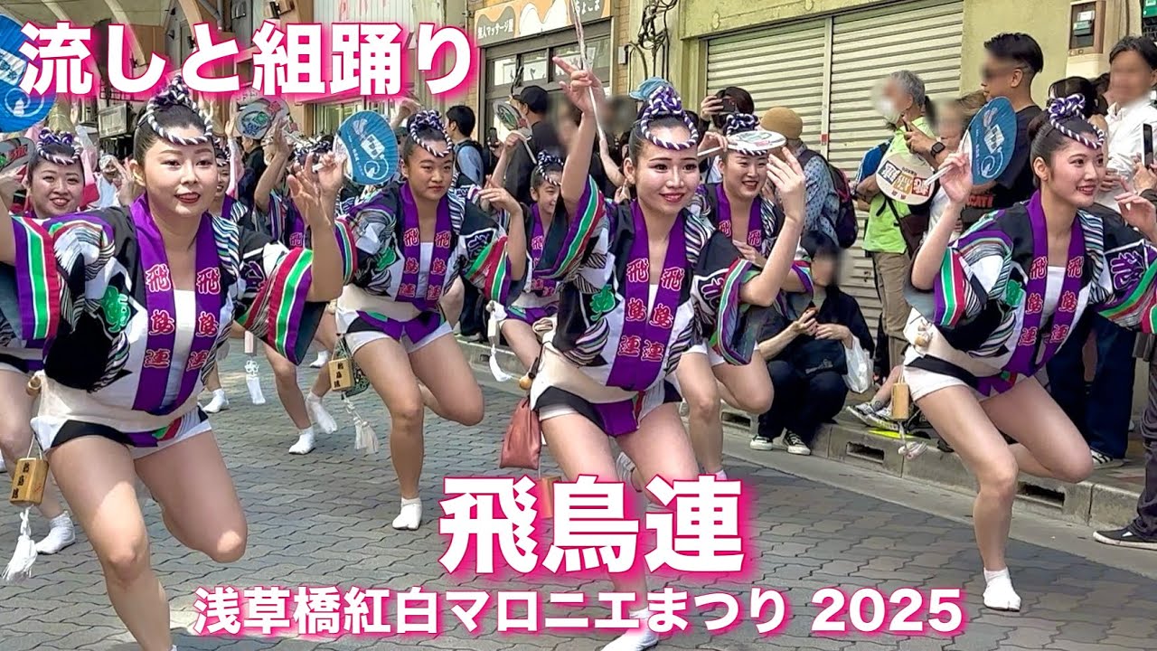 【阿波おどり2025|飛鳥連】流しと組踊り！最高峰の優雅な演舞が美しい！浅草橋紅白マロニエまつり