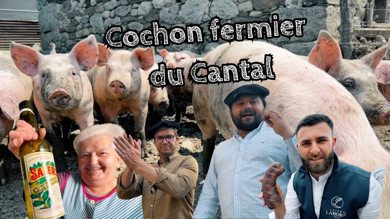 Cochon fermier du Cantal 🐷🌿 🍷 - Gueuleton