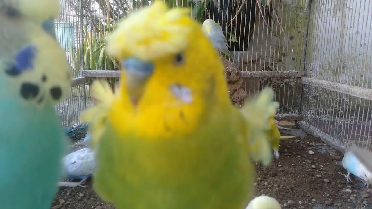 🤯笑ってた人が最後に黙る理由