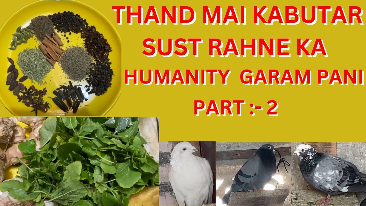 TIPS FOR SUMMER || PART :- 2 || SOMNATH HALDAR
