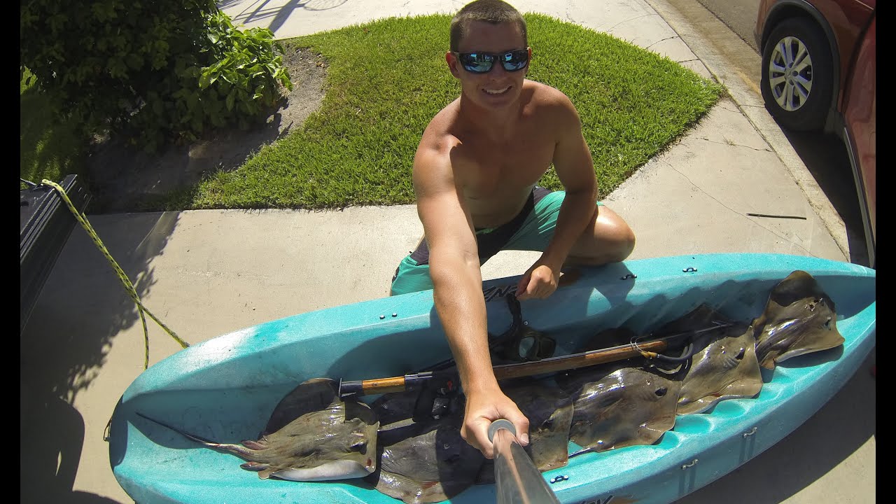 Spearing Stingrays for Shark Bait!