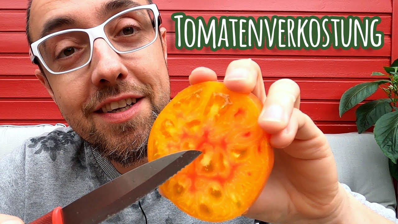 Tomatenverkostung 2021 🍅 Alte Tomatensorten 🍅 Tomaten mit Geschmack