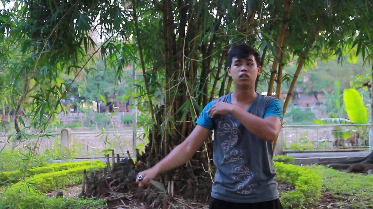Lesson 1 | Hướng dẫn học côn nhị khúc qua mạng đơn cơ bản nhất | CLB - Côn Nhị Khúc hà Đông