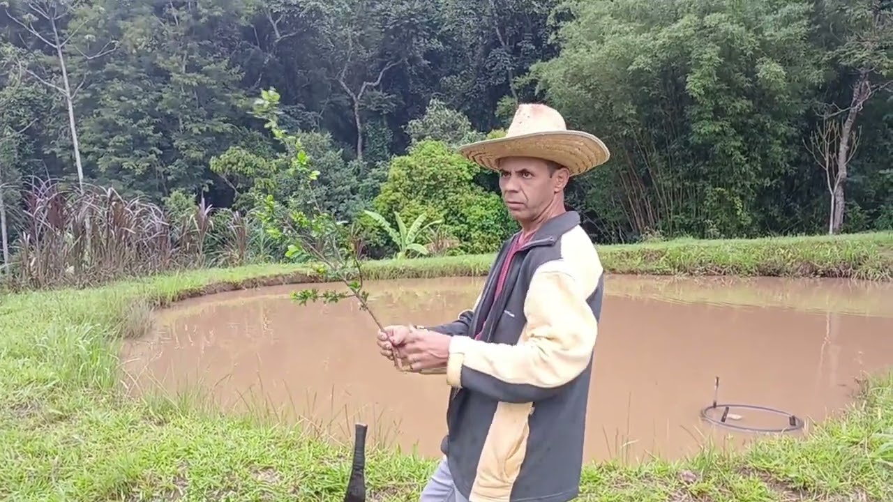 DIA PRODUTIVO AQUI NO SÍTIO, plantamos acerola ao redor do,lago ,milho 🌽 e flores 🌹🪻🌻