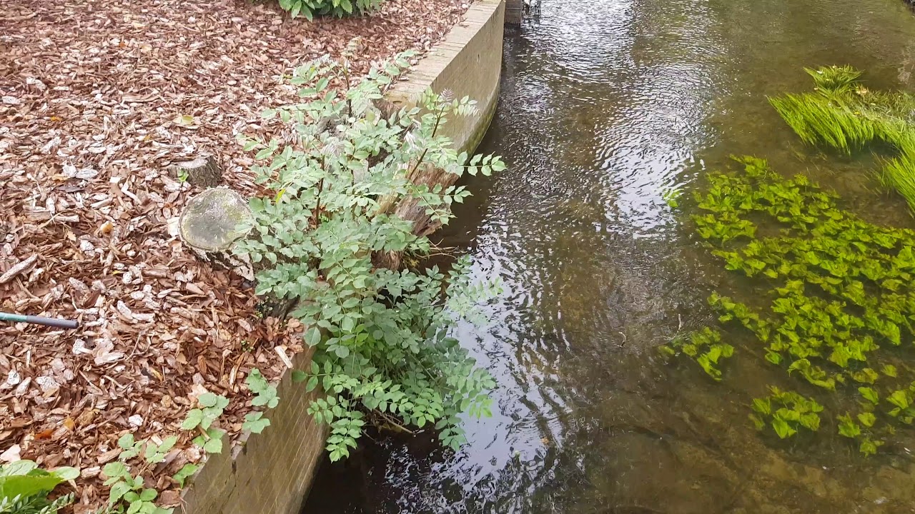 Samsung Galaxy Note 8 4K Video Sample