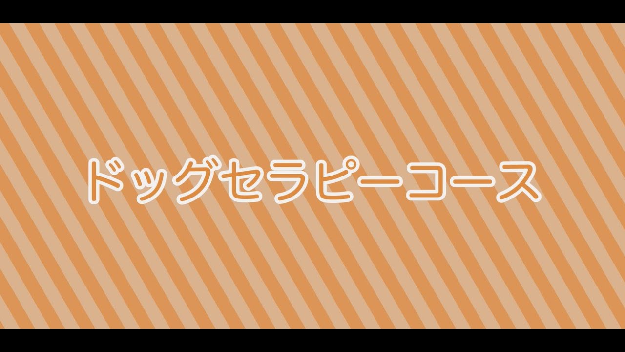 ドッグセラピーコースってどんなコース？