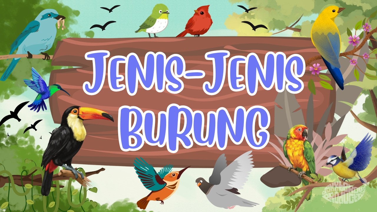 MENGENAL JENIS-JENIS BURUNG DI DUNIA || Belajar nama-nama jenis burung di dunia #edukasianak