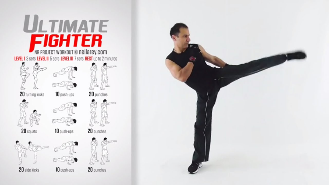 Ultimate Fighter Workout