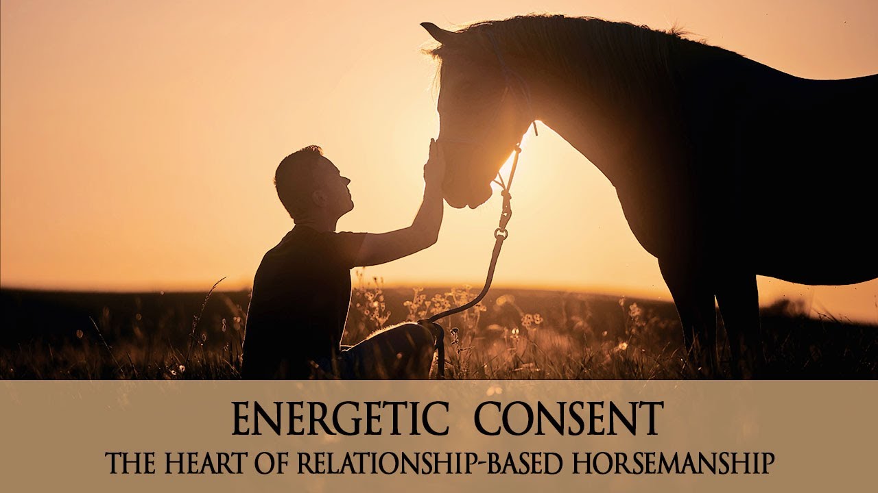 Energetic Consent  - The Heart of Relationship-Based Horsemanship