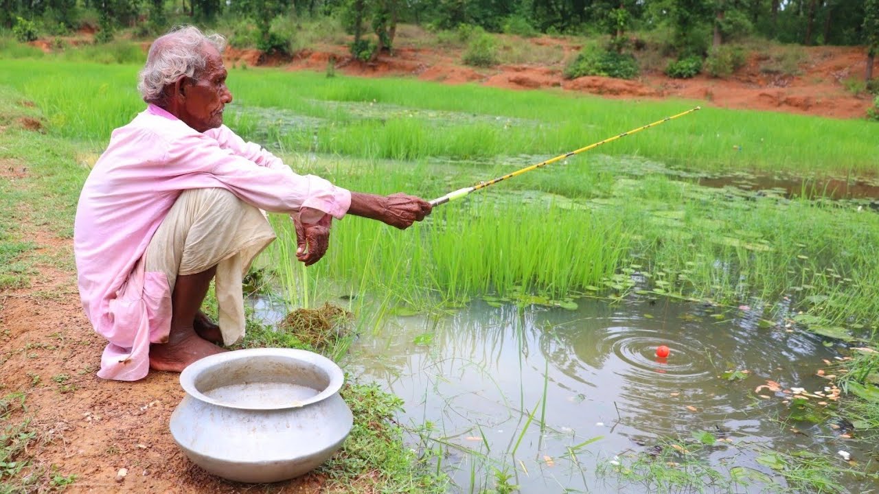 Fishing Video🐬🐠 || Grandpa caught a lot of fish by cleaning the field canal || Best hook fishing
