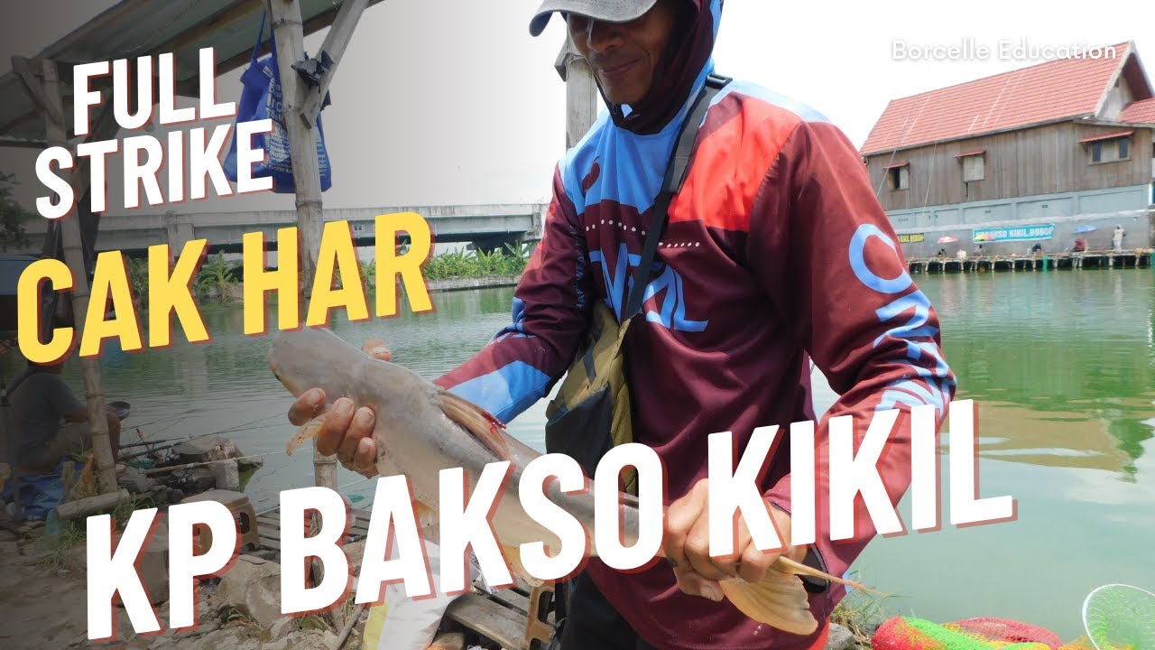 CAK HAR FULL STRIKE TOMBRO MAJALAYA KP BAKSO KIKIL BOBOH #mancingmania #mancing