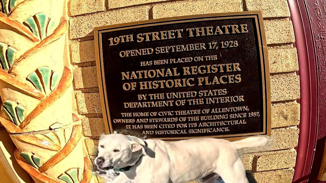 I Walk Around Allentown West End Theater District, Meet Some Dogs, Find A Restaurant, and More...